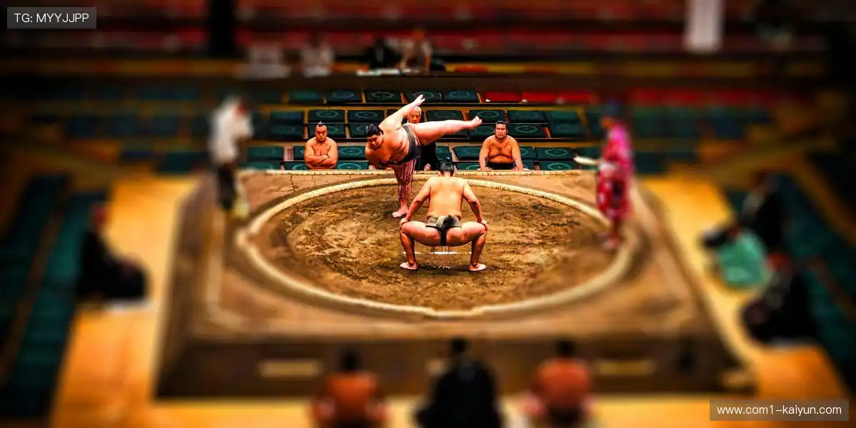 体育合作参与方逐渐增加